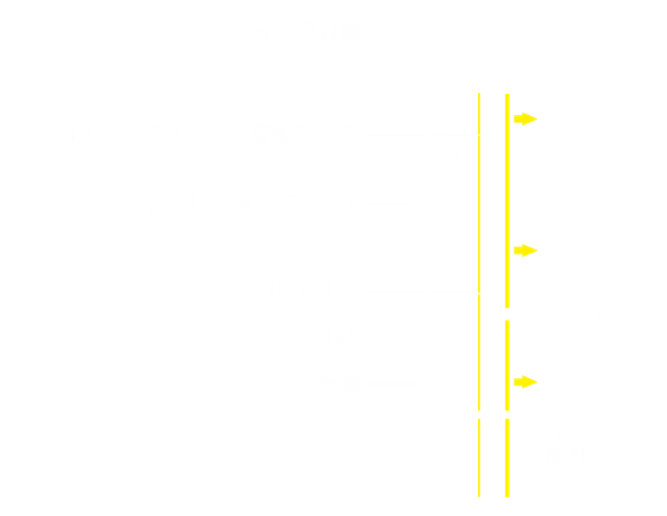3Dtype-Dの断面図